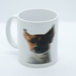 Fritz-Tasse "Do dadirrt a da..."